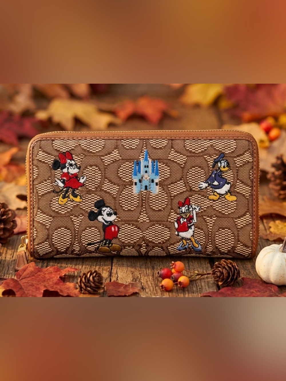 COACH x DISNEY Parks Mickey & Friends 50th Anniversary Accordion Zip Wallet NEW!